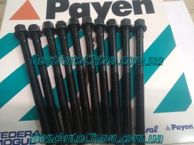 ����� ��� (Payen) A15 ��������