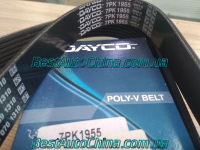 ������ ���������� EC8 X7 4G20  4G24  7��1955 DAYCO  1016050431